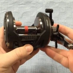 Alternative view of Conventional Reels Penn Warfare Star Drag Reels