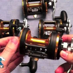 Daiwa Seagate Conventional Reels 7 Daiwa Seagate Conventional Reels -J&H Shop image 1065