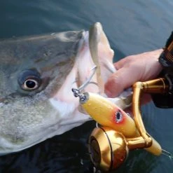 Penn Slammer III Spinning Reels -J&H Shop image 1178