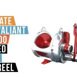 Alternative view of Conventional Reels Accurate Boss Valiant BV2-800N 2-Speed Lever Drag Reels