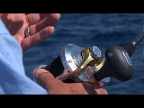 Conventional Reels Shimano Talica Two-Speed Lever Drag Reels 4 Conventional Reels Shimano Talica Two-Speed Lever Drag Reels - Image 2