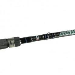 Dobyns Sierra Casting Rods -J&H Shop image 1461