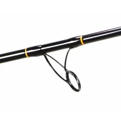 Surf Rods Lamiglas Carbon Surf Spinning Rods