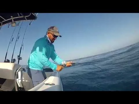 Tsunami Trophy Slow Pitch Jigging Casting Rods 4 Tsunami Trophy Slow Pitch Jigging Casting Rods - Image 2