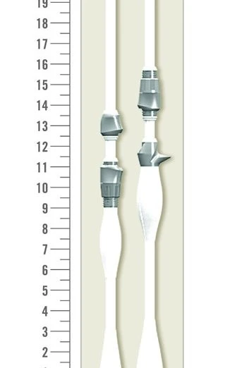 St Croix LegendXtreme Inshore Spinning Rods 8 St Croix LegendXtreme Inshore Spinning Rods - Image 6