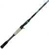 Dobyns Fury Casting Rods -J&H Shop image 1976