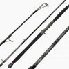 Boat Casting Rods Dark Matter IO Casting Rods -J&H Shop image 2077