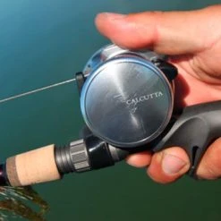 Shimano Calcutta D Baitcasting Reels 19 Shimano Calcutta D Baitcasting Reels -J&H Shop image 866