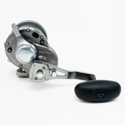 Conventional Reels Daiwa 2020 Saltiga 2-Speed Lever Drag Reels 7 Conventional Reels Daiwa 2020 Saltiga 2-Speed Lever Drag Reels -J&H Shop image 901